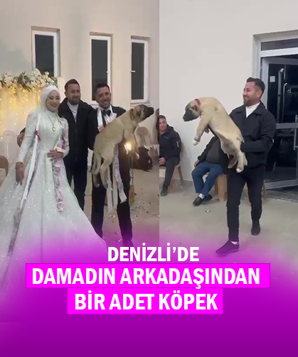 Damadın Arkadaşı Damada Köpek Taktı!